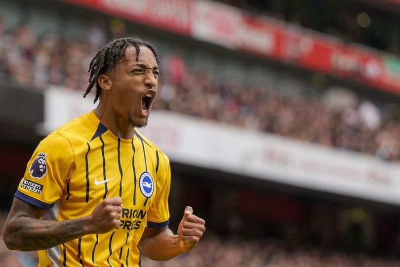 Profil Joao Pedro: Calon Amunisi Baru di Lini Depan Chelsea